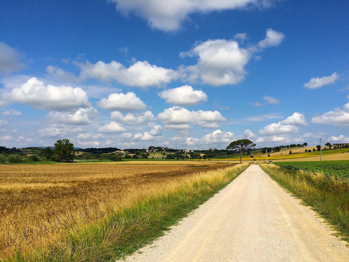 Agriturismo Poggio Antico Binami Bagian luar foto